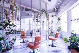 神戸 美容師 求人 Asha Hair Solution 神戸店 転職求人jobs